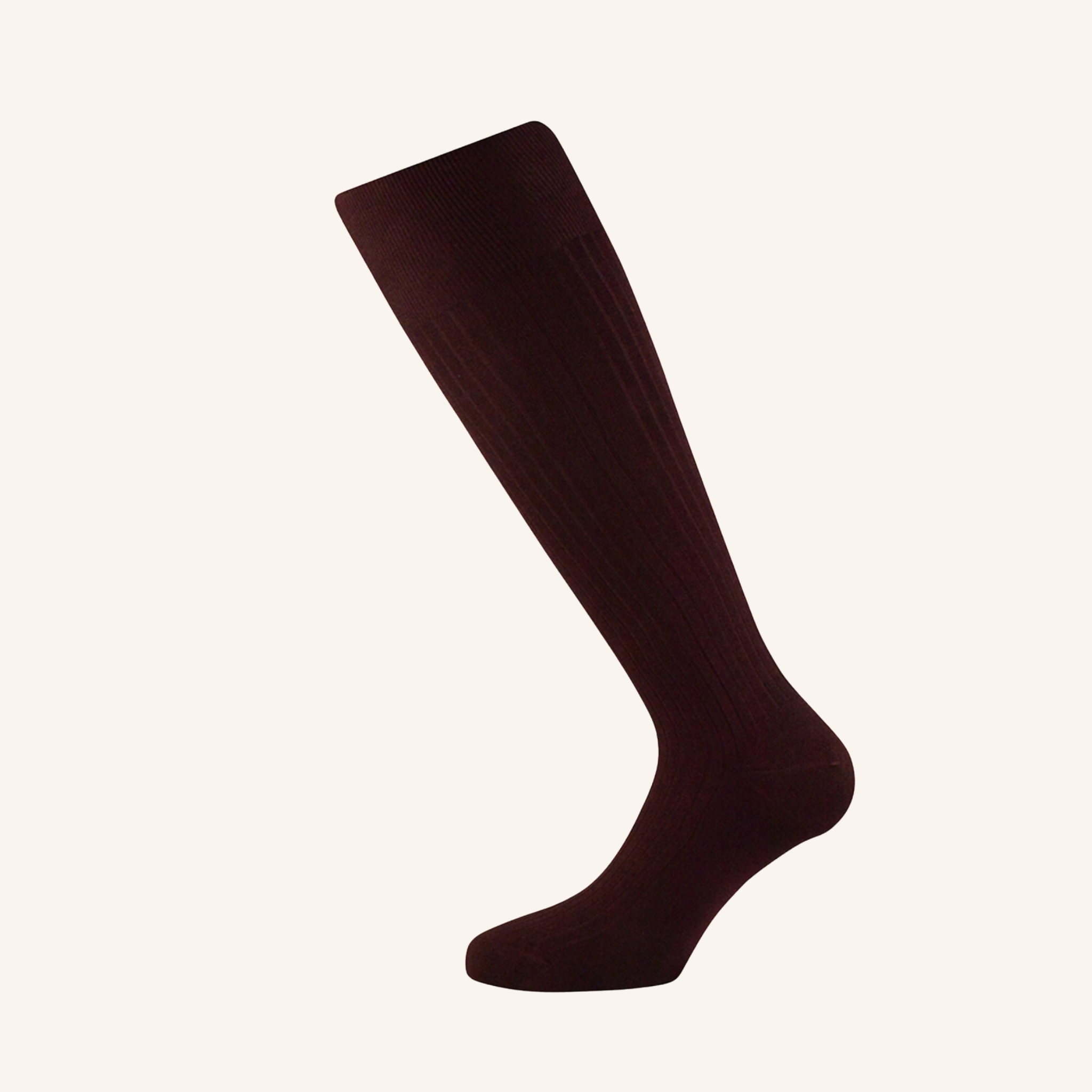 Egyptian Cotton Socks