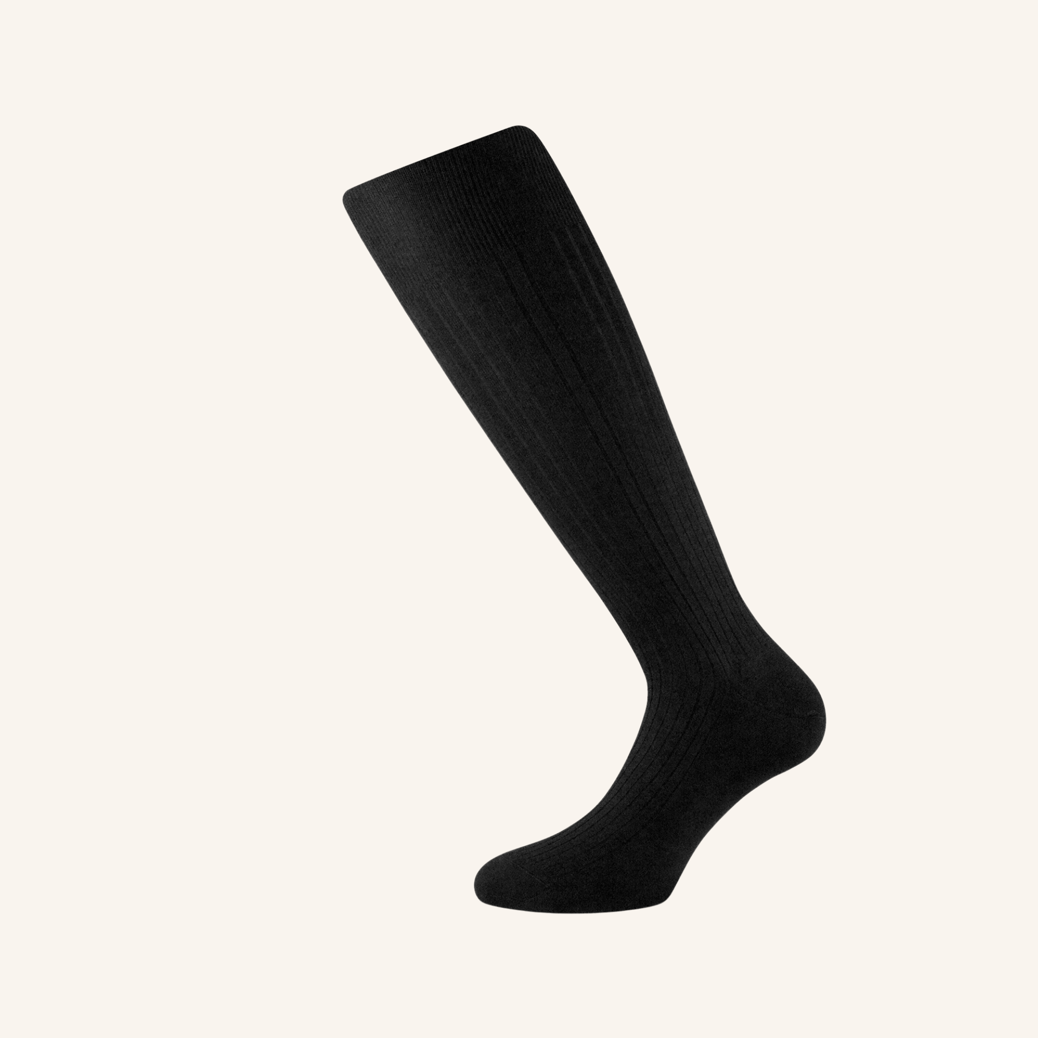 Black Silk Socks